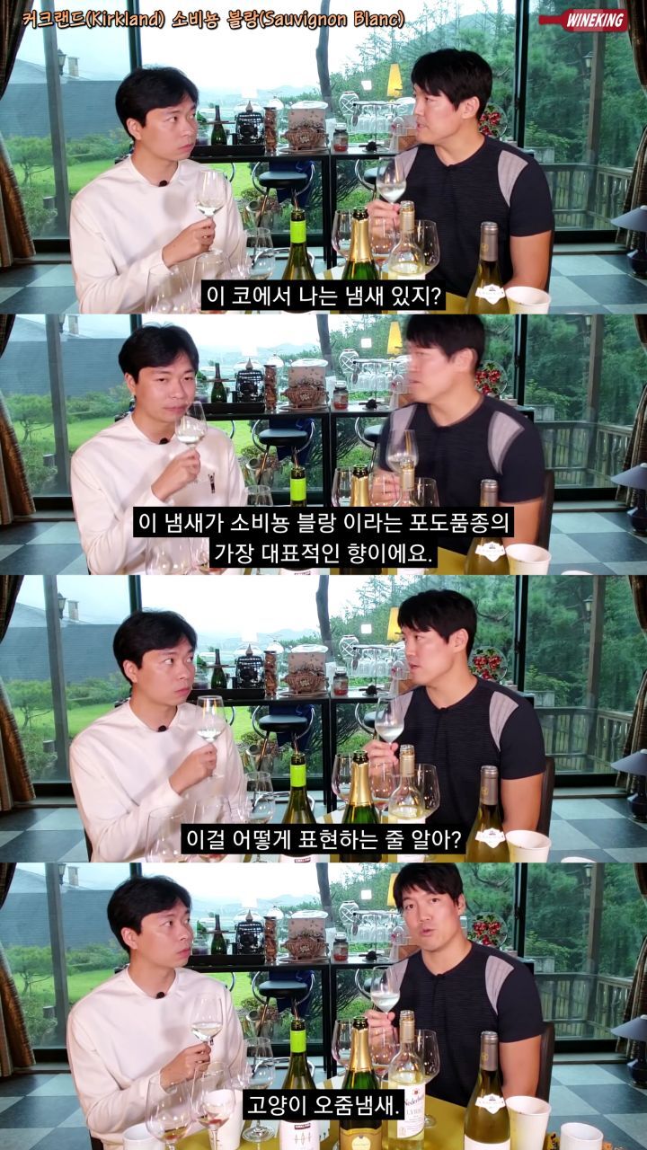 와인 전문가가 추천하는 이마트,코스트코 가성비 와인.jpg | 인스티즈