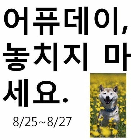 어퓨 웹 디자이너가 휴가 간 뒤 생겼던 대참사...jpg | 인스티즈