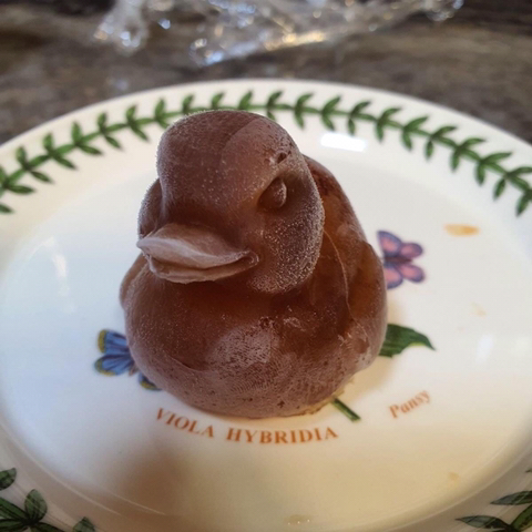 오리 얼음틀을 산 사람.jpg | 인스티즈