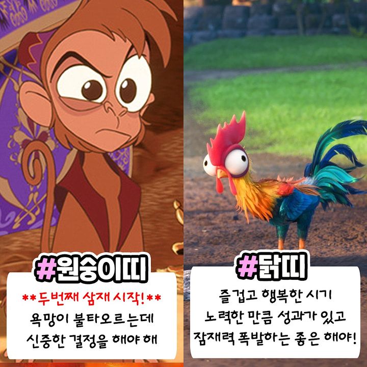 2023년 계묘년 띠별 운세모음 | 인스티즈