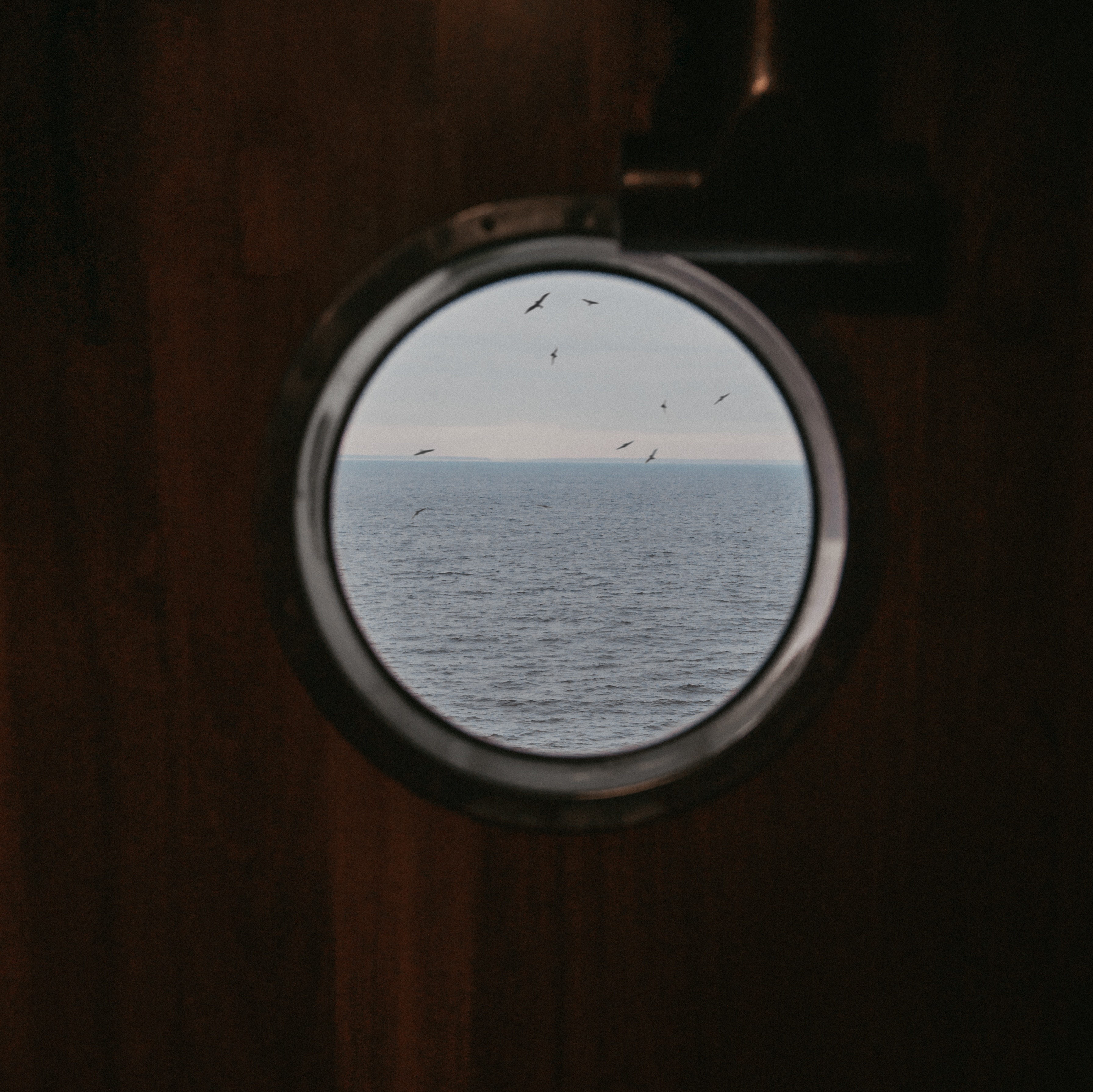 공포게임 속에 들어와버린 당신, 배 안에서 탈출할 수 있을까요?(무서운이미지 없음!) | 인스티즈