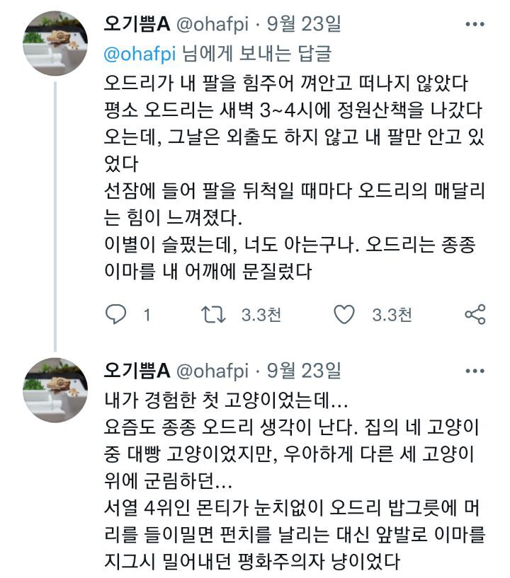 고양이도 이별의 슬픔을 안다 | 인스티즈