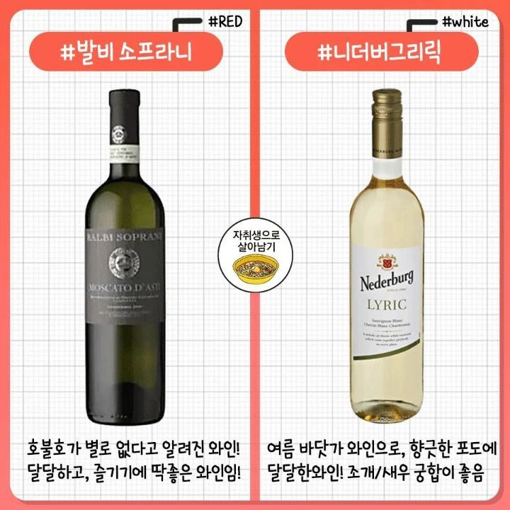 레드/화이트 와인 추천 모음.jpg | 인스티즈