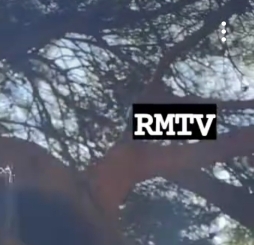 헤어질결심에 제대로 빠진듯한 방탄 알엠 인스타 스토리 | 인스티즈