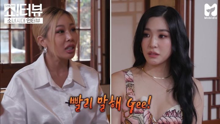 소녀시대의 대표곡은 GEE라고 생각하지 않는다는 티파니.jpg | 인스티즈