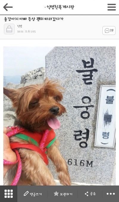 첨보는거같은 익웃 모음 | 인스티즈