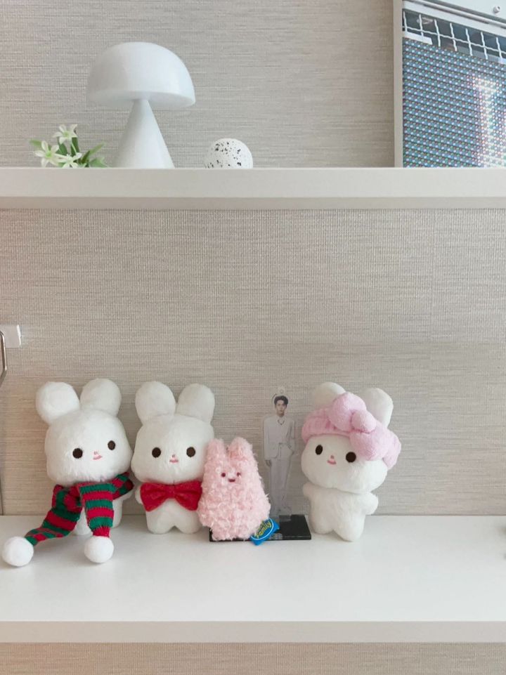 요즘 아이돌 팬들 사이 덕질 필수템 중에 하나인 것 | 인스티즈