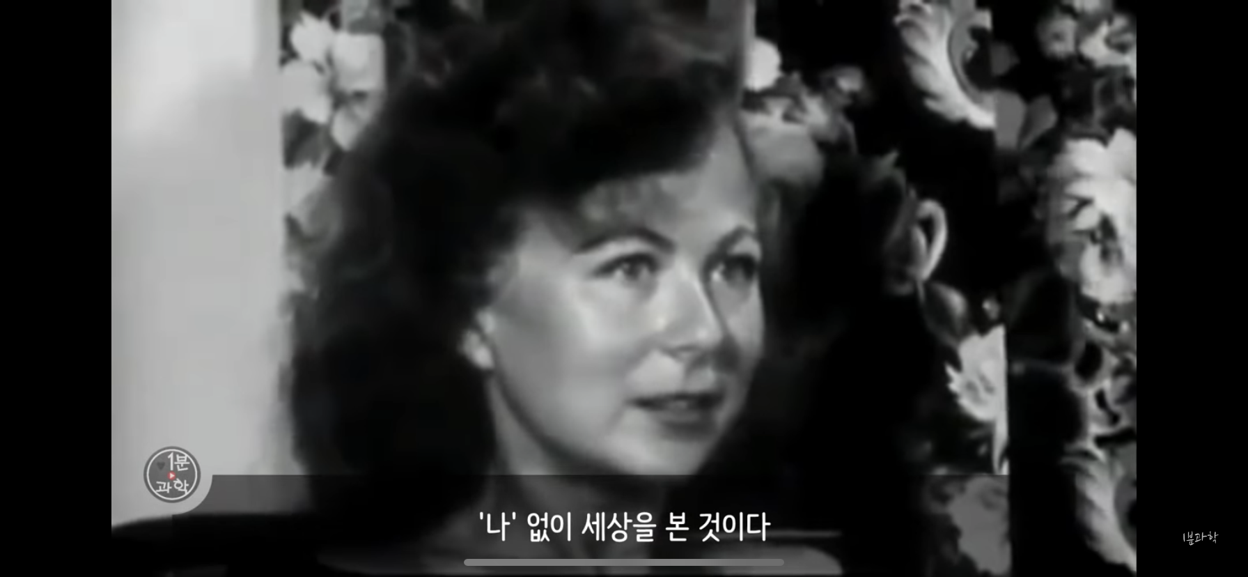 전세계에서 금지된 마약 | 인스티즈