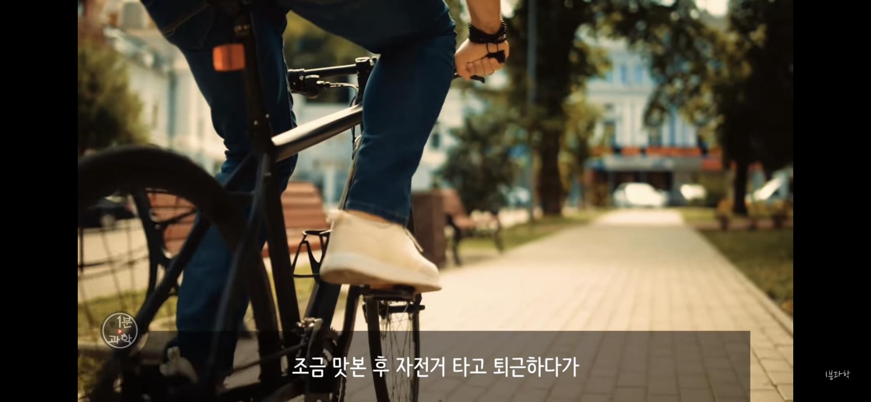 전세계에서 금지된 마약 | 인스티즈
