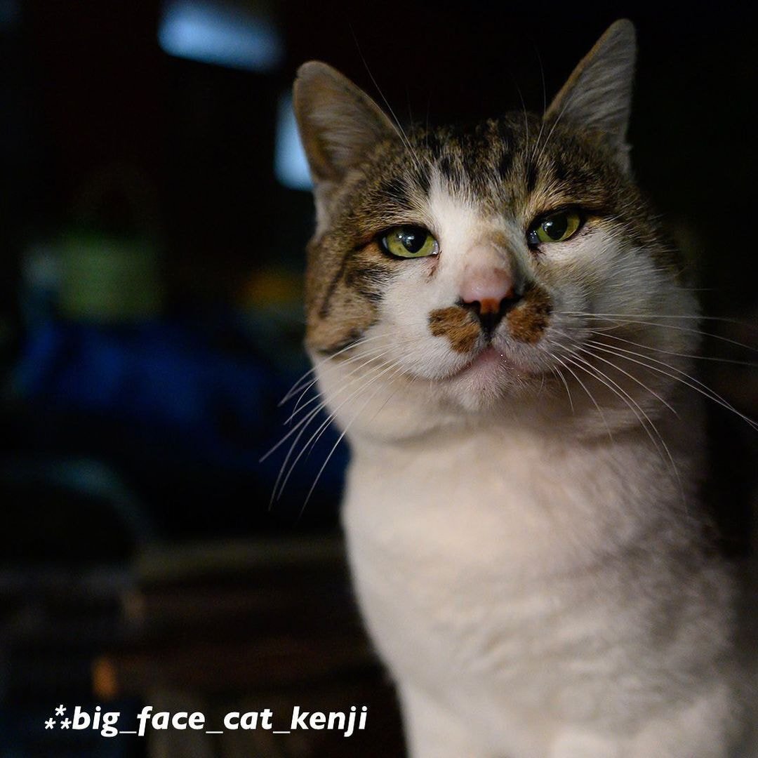 대두라고 불리는 아이 | 인스티즈