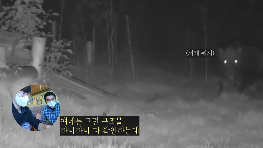 고속도로에 있는 생태통로 진짜 야생동물이 다닐까? | 인스티즈