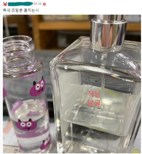 직장인들의 정줄 놓은 직달웃 모음2 | 인스티즈