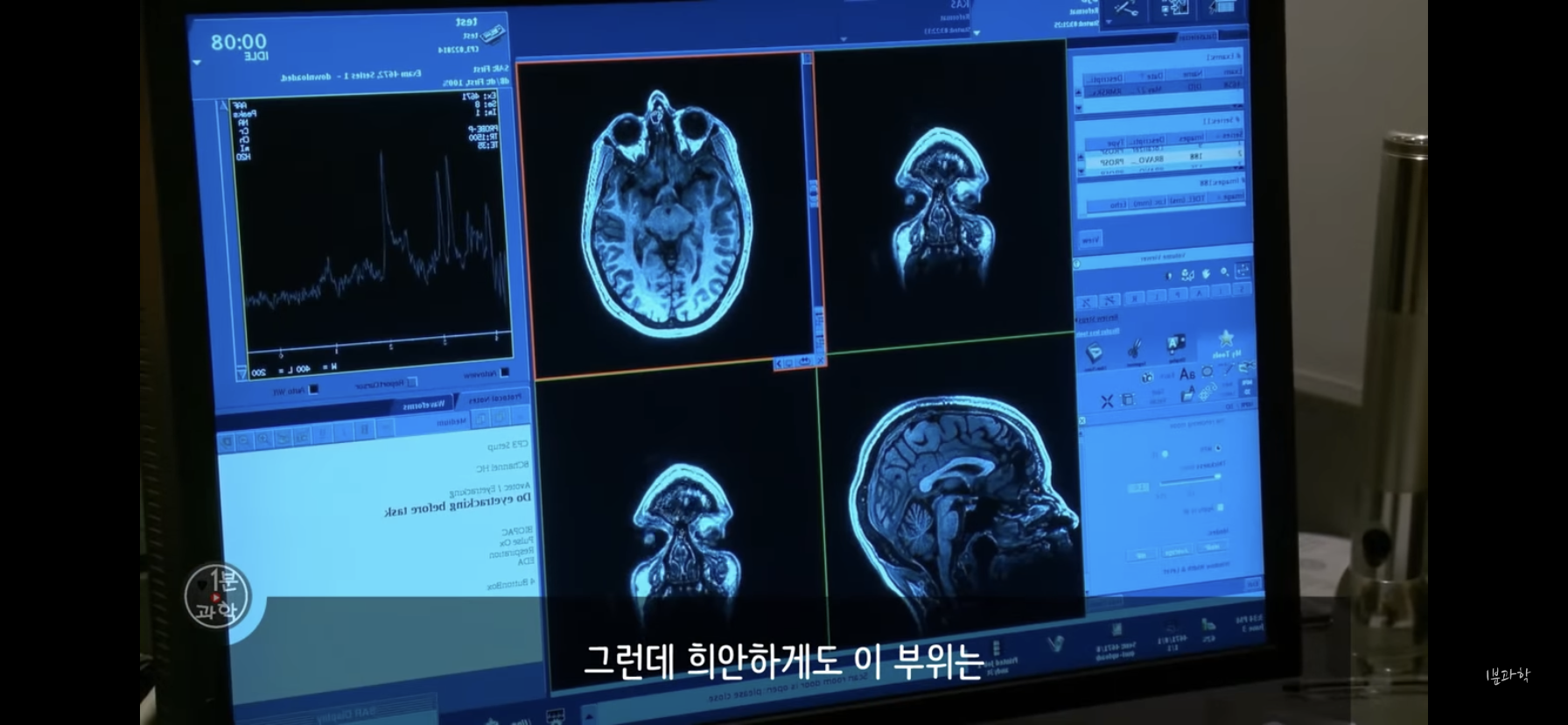 전세계에서 금지된 마약 | 인스티즈