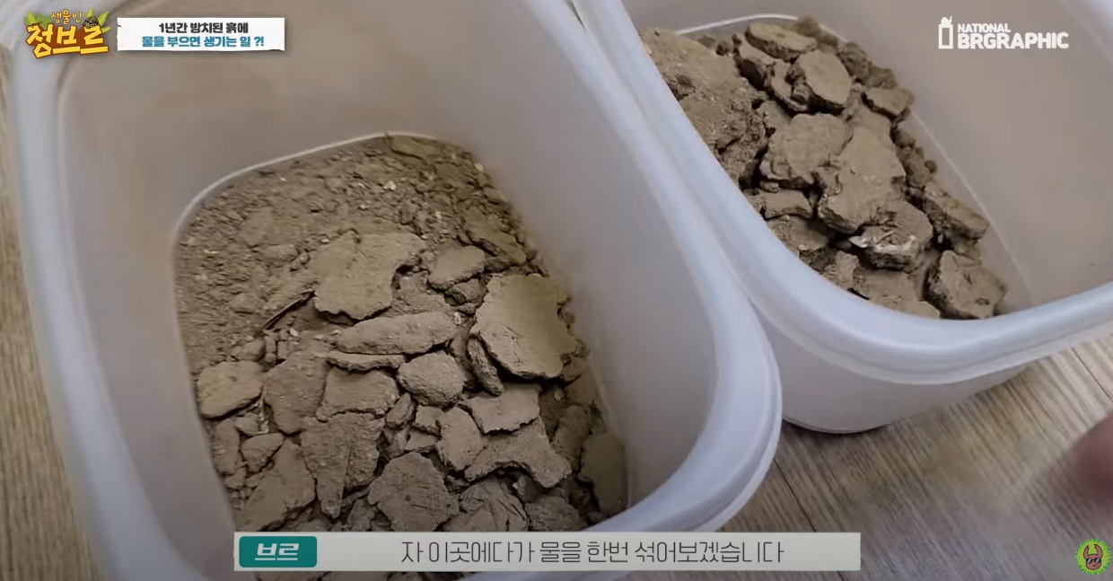 죽은 땅에 물을 부었는데 생명체들이 부화함 개신기 (지진이나 홍수가 일어나는 이유일까? 🤔) | 인스티즈