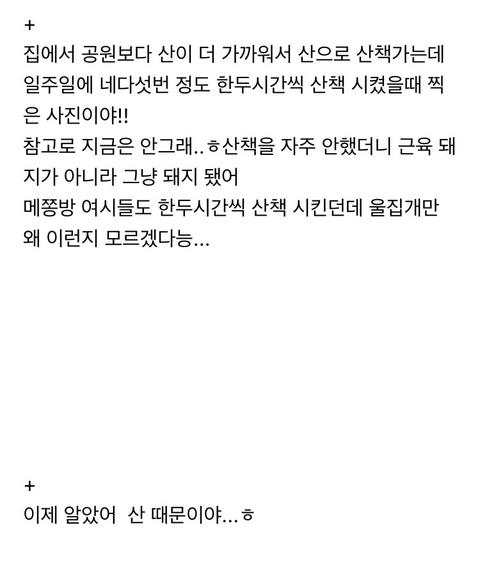 강아지 짤 모음(개많음) | 인스티즈