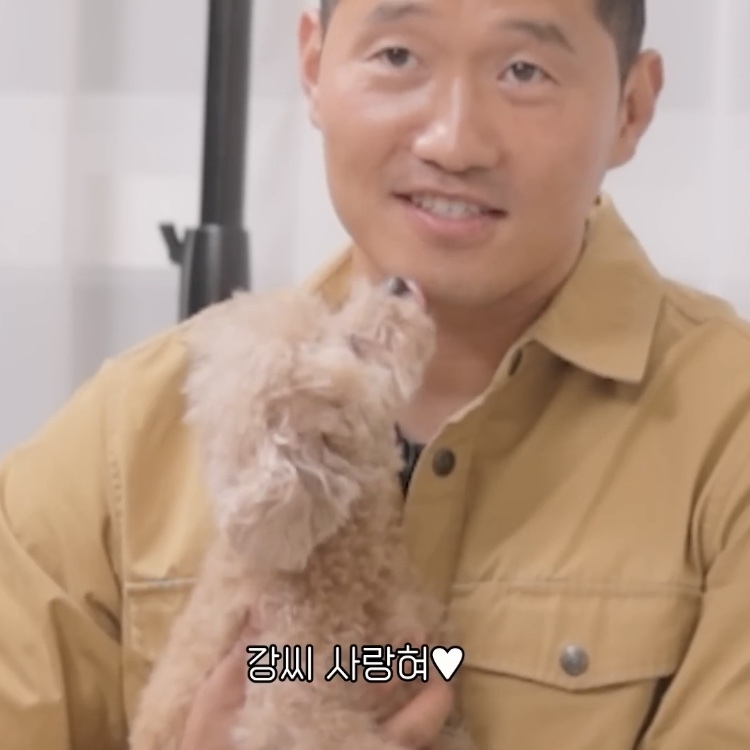 노견을 키우는 보호자들이 절대 하지 말아야할 것 | 인스티즈