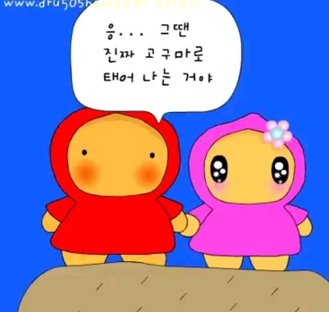 충격적인 감자도리 스토리 | 인스티즈