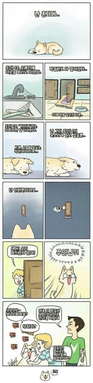 강아지 짤 모음(개많음) | 인스티즈