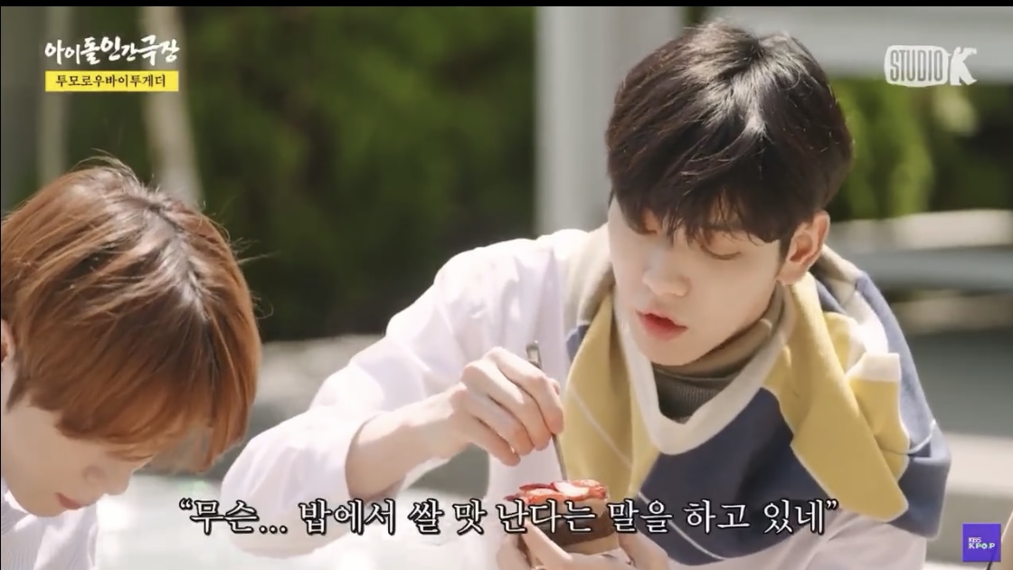 ?? : 야 이거 생크림에서 우유맛 나 | 인스티즈