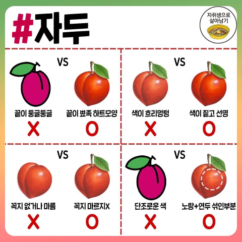 맛있는 과일 고르는 방법.jpg | 인스티즈