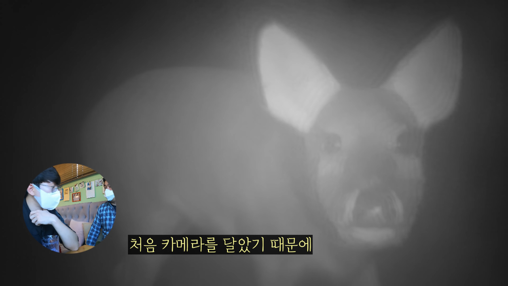 고속도로에 있는 생태통로 진짜 야생동물이 다닐까? | 인스티즈