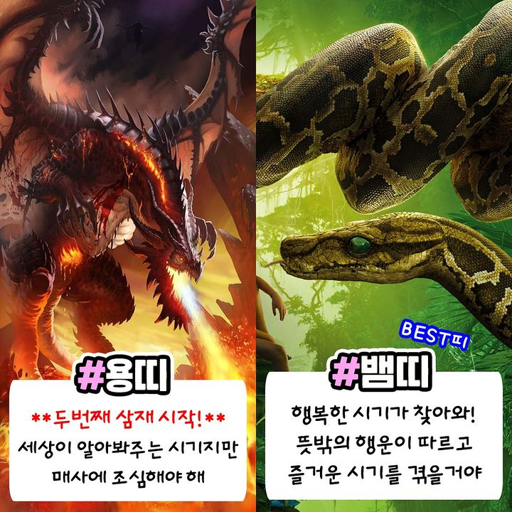 2023년 계묘년 띠별 운세모음 | 인스티즈