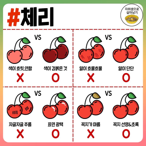 맛있는 과일 고르는 방법.jpg | 인스티즈