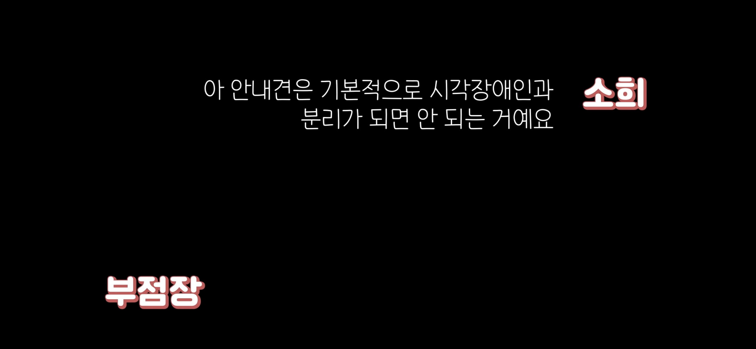 아직도 안내견 거부하는 식당 | 인스티즈