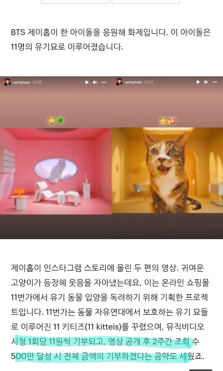 유기묘 구조해서 입양 가지 찾아준 제이홉 | 인스티즈