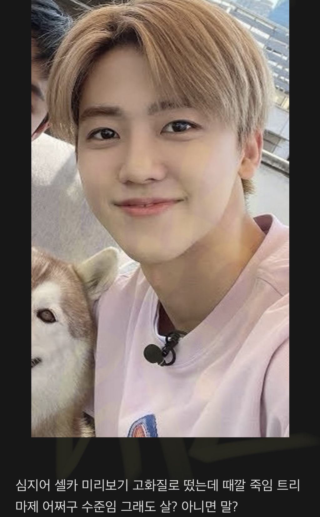 본진 연예인이 옥장판 사라고 하면 살거임? (Feat. 엔시티 재민을 향한 덕후의 본능) | 인스티즈