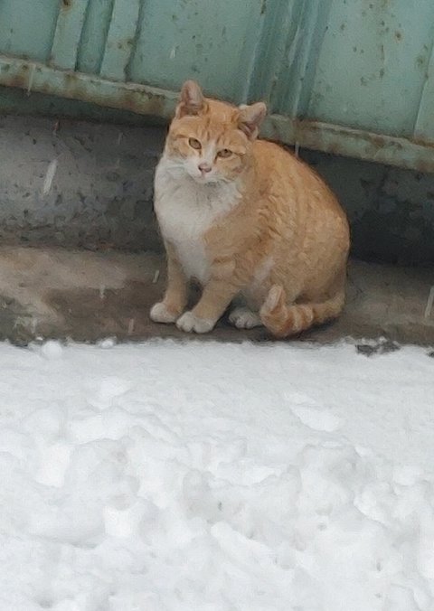 눈오리에 진심 | 인스티즈