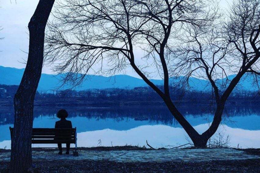 치킨 2마리 걸고 사진대회 열자 2시간 만에 나온 작품들. jpg | 인스티즈