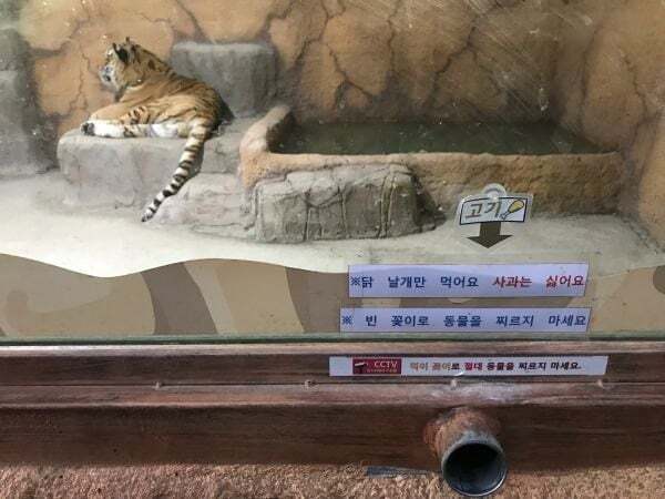 죄 없는 감옥같다는 실내 동물원 | 인스티즈