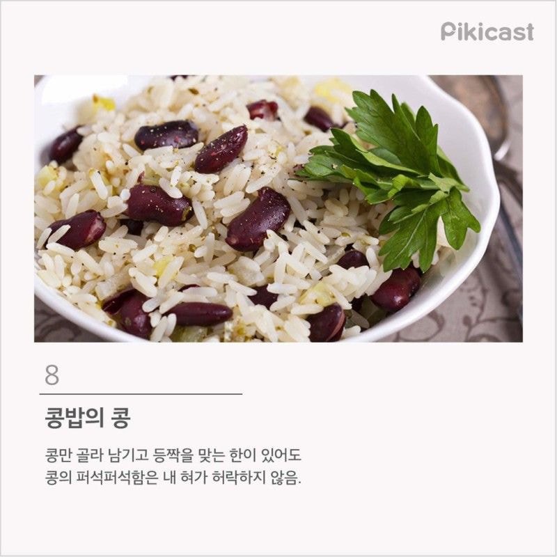프로편식러 등급 | 인스티즈