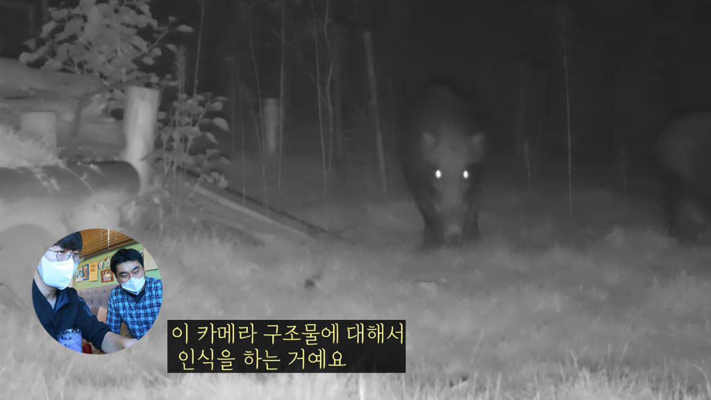고속도로에 있는 생태통로 진짜 야생동물이 다닐까? | 인스티즈