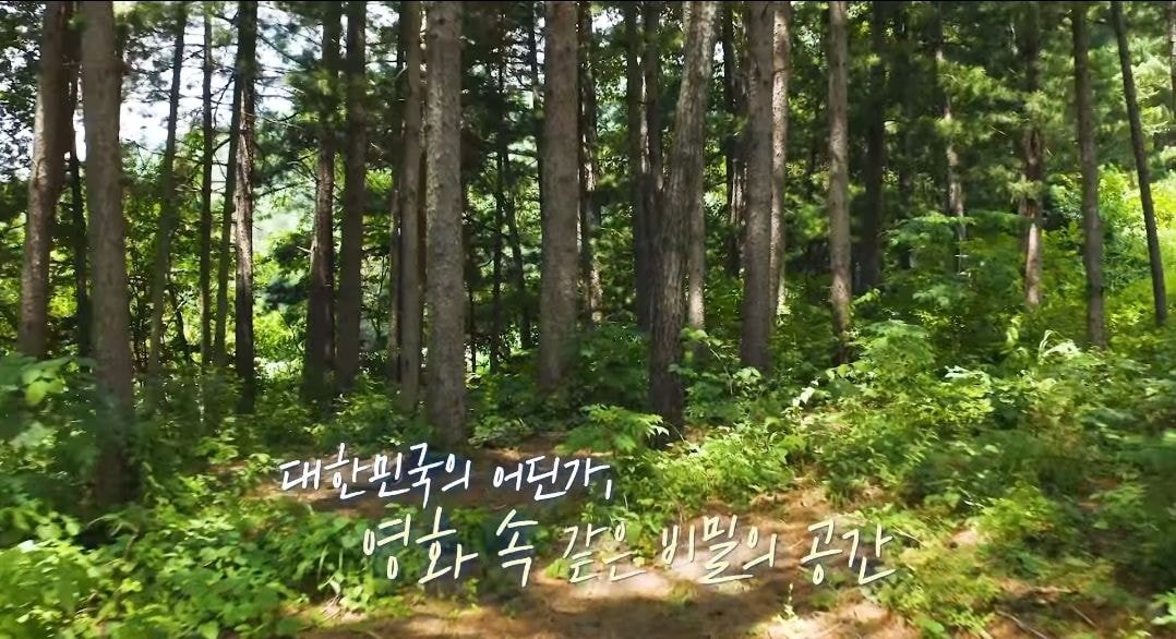 인더시즌 이미지