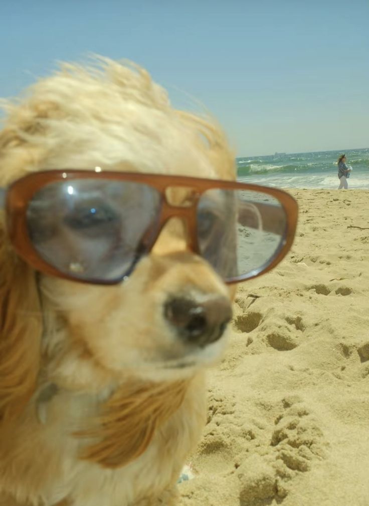 진짜로 끝나버렸어 여름! | 인스티즈