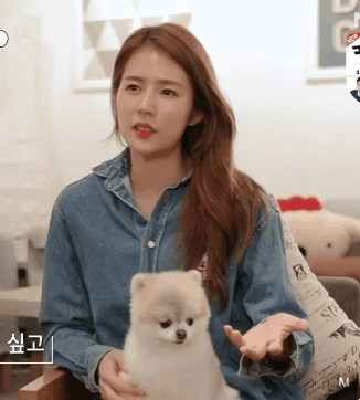 친구들이랑 시장 갔다가 멍멍이 봤어 고양이한테 맞고 우는중이래.jpg | 인스티즈