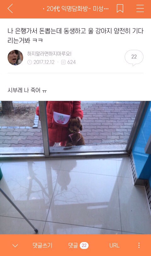 강아지 짤 모음(개많음) | 인스티즈