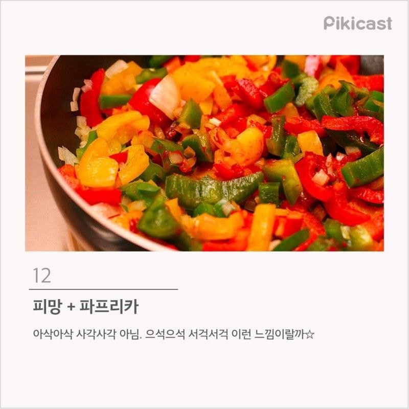 프로편식러 등급 | 인스티즈