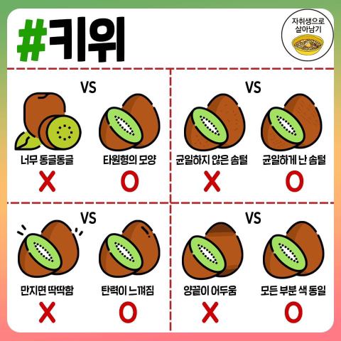 맛있는 과일 고르는 방법.jpg | 인스티즈