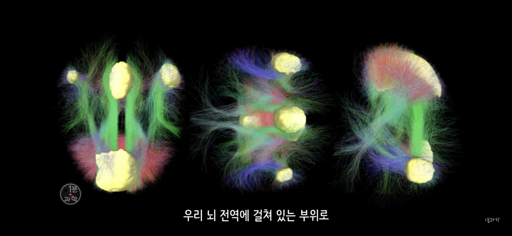 전세계에서 금지된 마약 | 인스티즈