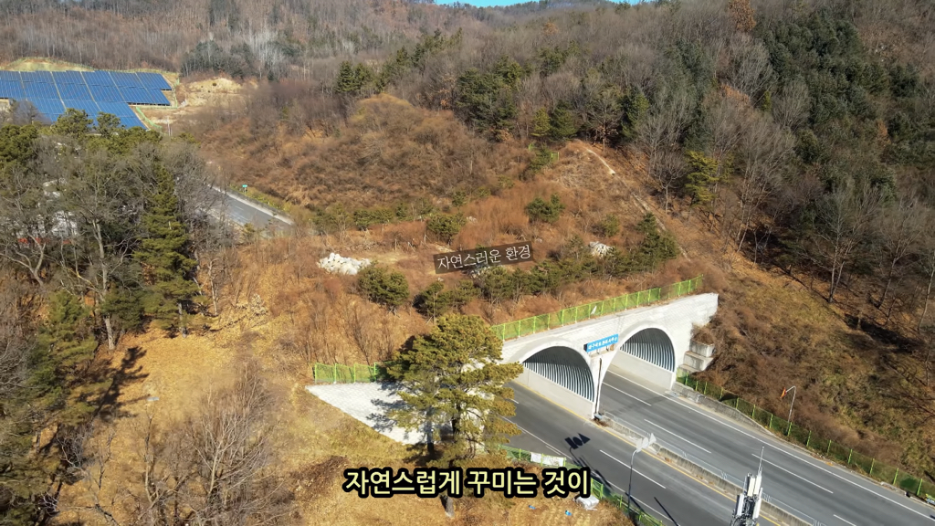 고속도로에 있는 생태통로 진짜 야생동물이 다닐까? | 인스티즈