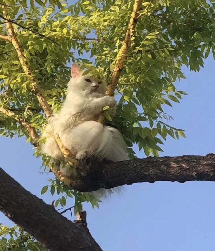진짜로 끝나버렸어 여름! | 인스티즈