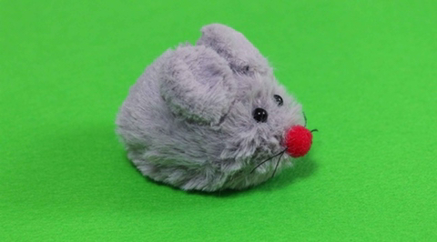 보면 후회하지 않을 세상에서 가장 귀여운 아이템들 | 인스티즈