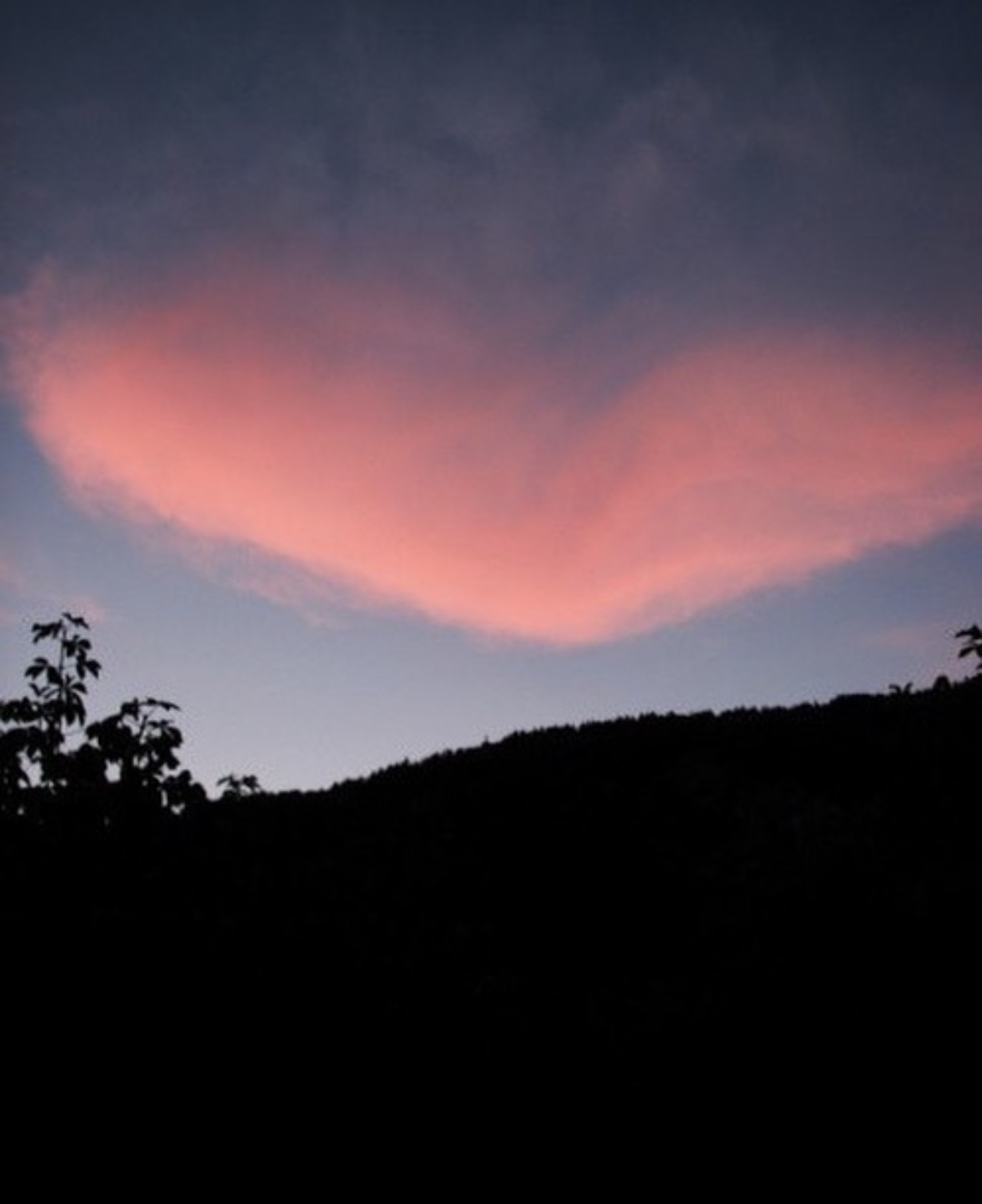 박시은 인스타그램 업데이트 | 인스티즈