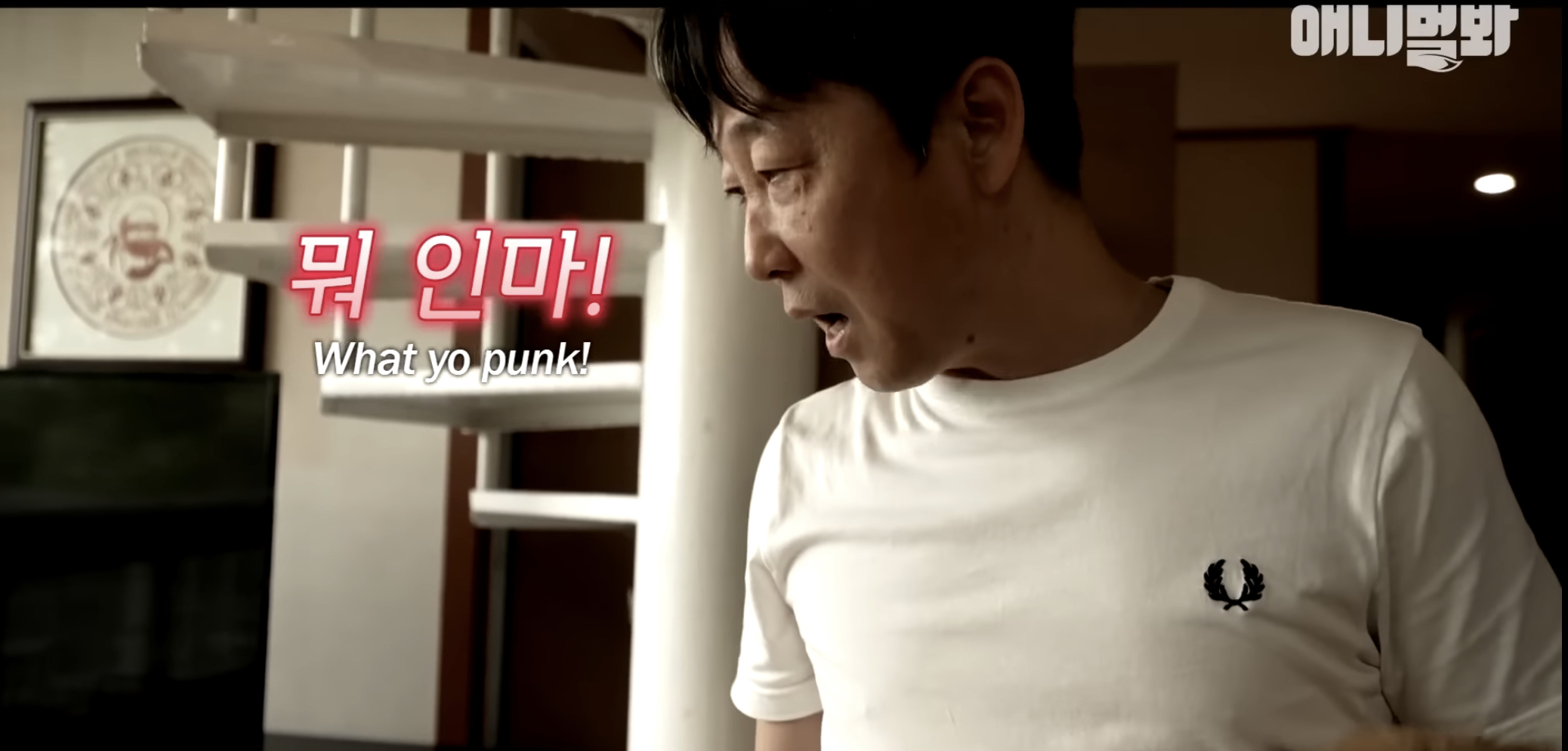 유기견들의 입양을 위해 논산에 집을 산 사람 | 인스티즈