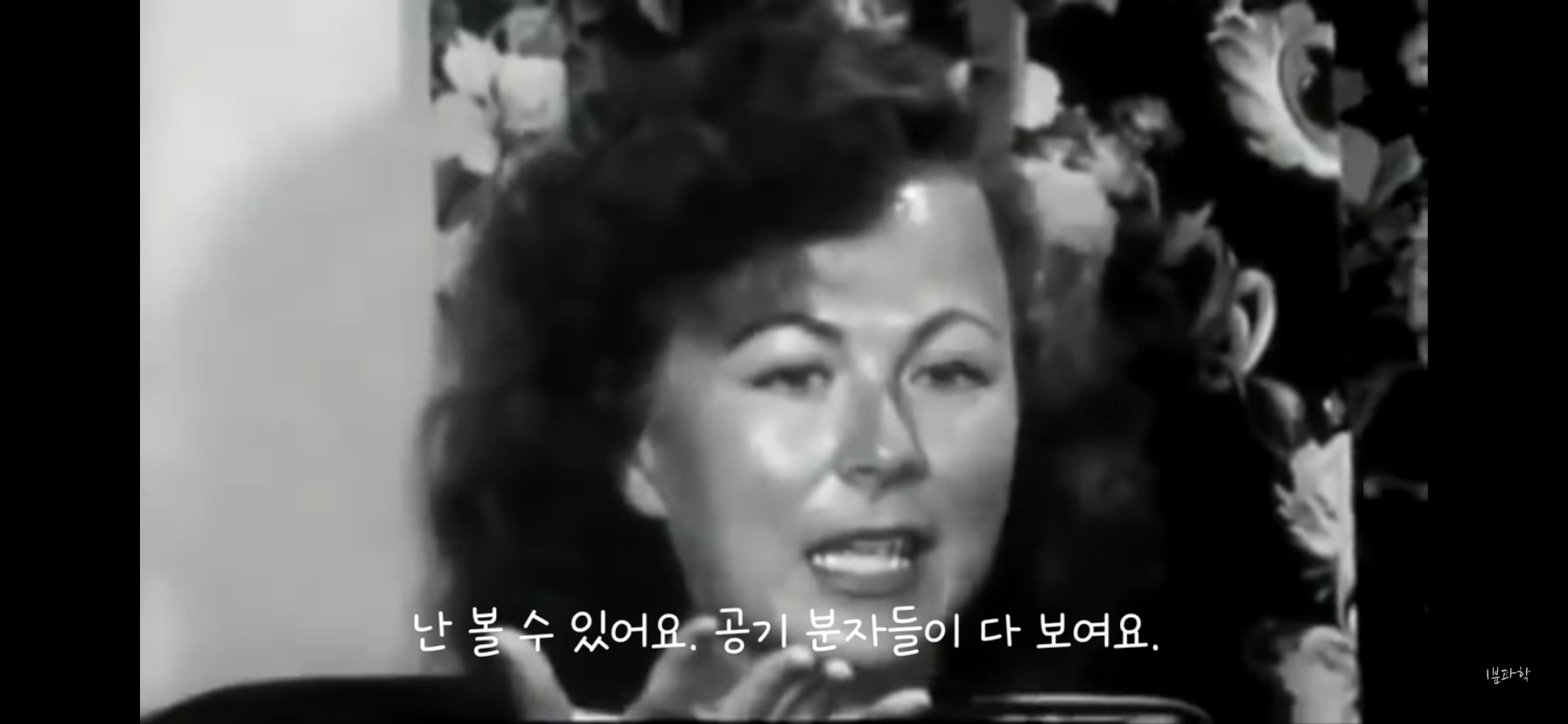 전세계에서 금지된 마약 | 인스티즈