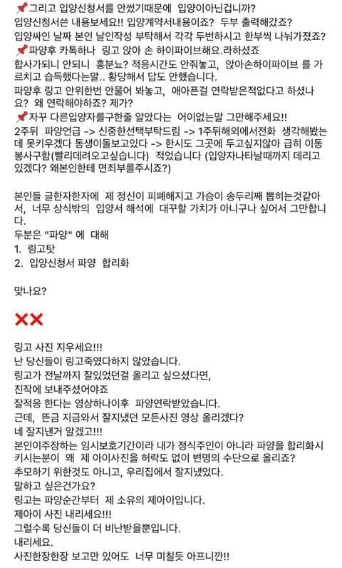 파양된 후 식음전폐하다 하늘나라 간 강아지 링고의 파양자 입장문(+ 입양센터(구조단체) 입장문) | 인스티즈