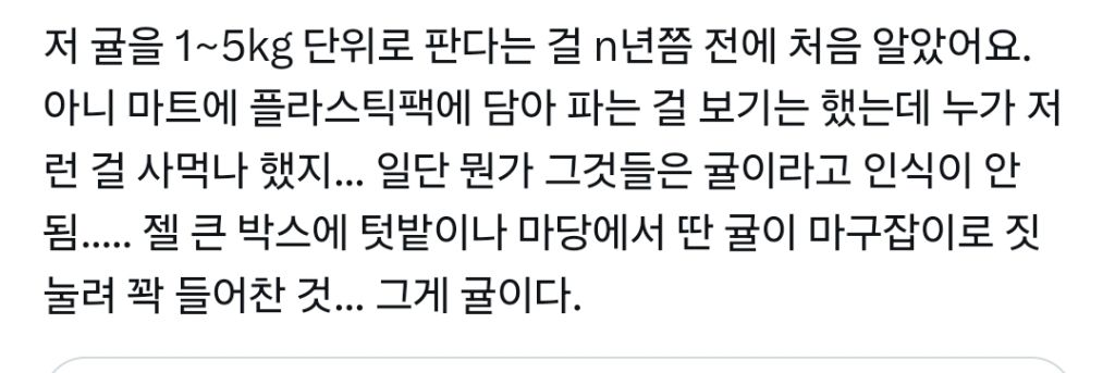 "엄마 여기는 귤을 돈 받고 팔아 ㅠㅠ" | 인스티즈
